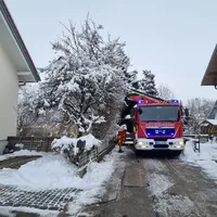 e6bf63a1-ce0e-4131-a02b-d4e53b8956ed.jpg