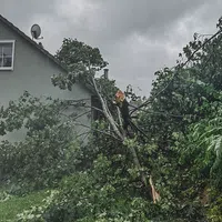 Baum auf Alex.jpg